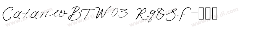 CataneoBTW03 RgOSF字体转换